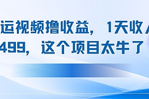 搬运抖音中视频撸收益,1天收入499,这个项目太牛了