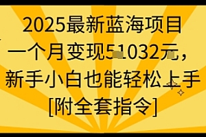 2025最新蓝海项目一个月变现1w+新手小白也能轻松上手【附全套指令】
