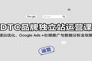 DTC品牌独立站运营课:建站优化、Google Ads + 社媒推广与数据分析全攻略
