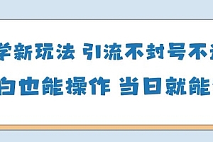AI国学项目-零基础小白都能轻松上手-当天见收益
