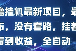 零撸最新项目,最新发布,没有套路,挂着就能看到收益,全自动