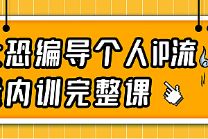 社恐编导个人iP流量内训完整课