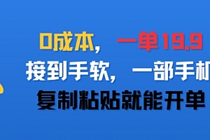 0成本,一单19.9,接到手软,一部手机,复制粘贴就能开单
