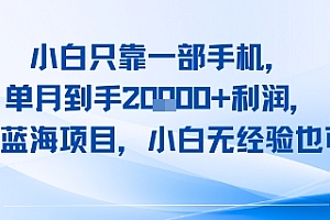 小白只靠一部手机,单月到手2W+利润,玄学蓝海项目,小白无经验也可做