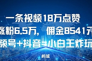一条视频18W点赞涨粉6.5W,佣金8541视频号+抖音=小白王炸玩法