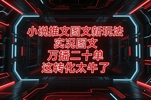 小说推文图文新玩法,实况图文,万播二十单,这转化太牛了!