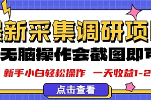 新版采集调研项目,截图上传即可,无脑操作,日收益1-2张