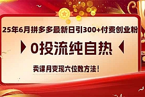 (14989期)25年6月拼多多最新日引300+付费创业粉,0投流纯自热 卖课月变现六位数方法