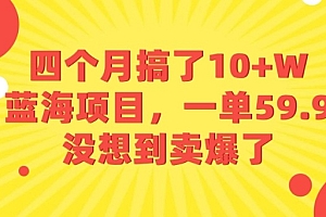 四个月搞了10+W的蓝海项目,一单59.9米,没想到卖爆了