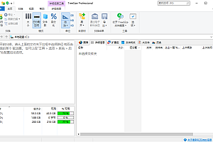 TreeSize Professional v9.5.0.2102绿色版