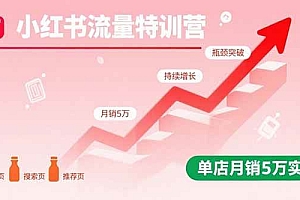 (15936期)小红书流量特训营:突破流量瓶颈,实现店铺持续增长,单店月销5万实战