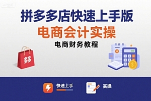 拼多多店快速上手版电商会计实操-电商财务教程