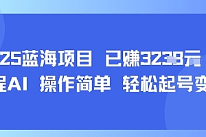 2025蓝海项目 已挣1k+ 全程AI 操作简单 轻松起号变现