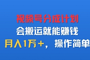 视项号分成计划会搬运就能賺钱,月入1W+,操作简单