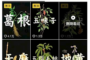 抖音中草药赛道,用AI做中草药故事视频,45条作品涨粉13W,橱窗带货猛猛出单