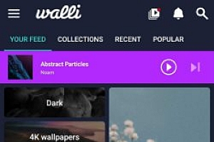 Walli Pro 4K壁纸 2.12.89高级版