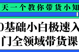 0基础小白极速入门全领域带货课