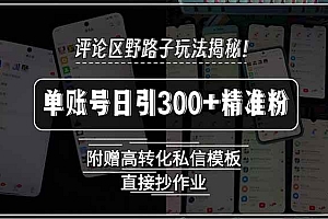 (15466期)评论区野路子玩法揭秘!单账号日引300+精准粉,附赠高转化私信模板,直…
