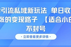 男粉引流私域新玩法,单日收益达10张的变现路子 【适合小白】不封号