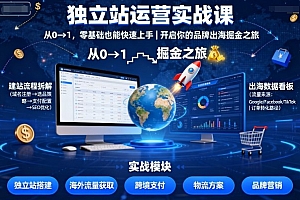 独立站运营实战课,从0到1,零基础也能快速上手,开启你的品牌出海掘金之旅