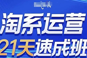 淘系运营21天速成班(更新25年10月),0基础轻松搞定淘系运营,不做假把式