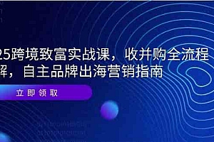 2025跨境致富实战课,收并购全流程拆解,自主品牌出海营销指南