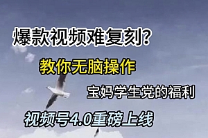 视频号4.0重磅上线,爆款视频难复刻?教你无脑操作宝妈学生党的福利【揭秘】