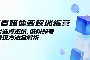 (14966期)AI自媒体变现训练营,平台选择避坑,低粉账号高变现方法全解析