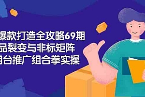淘宝爆款打造全攻略-69期,标品裂变与非标矩阵,万相台推广组合拳实操