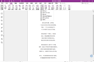 福昕高级PDF编辑器2025.2专业版