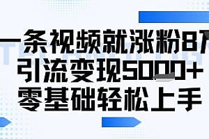 一条视频就涨粉8W引流变现5k+,0基础项目轻松上手