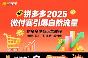 拼多多2025微付费引爆自然流量,拼多多电商运营教程,运营、推广、打爆品、微付费(更新)