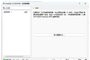 HeidiSql数据库可视化v12.11便携版