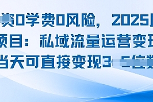 0学费0风险,2025风口项目:私域流量运营变现,当天可直接变现
