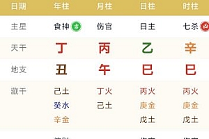 周易八字排盘测算1.1.4高级版