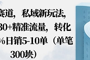 蓝海赛道,私域新玩法,日引30+精准流量,转化率50%日销5-10单(单笔3张)