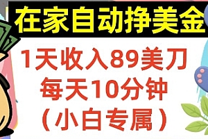在家自动挣美金,1天收入89刀,每天10分钟,小白专属,长期的被动收入