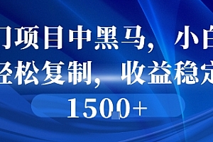 冷门项目中黑马,小白可轻松复制,收益稳定1.5k