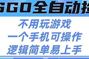 CSGO自动捡漏项目,最新独家玩法,不用挂G不用玩游戏,一个手机即可操作,新手小白轻松月入1W+【揭秘】