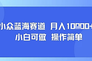 小众蓝海赛道,小白可做,操作简单,每天30分钟,月入1W+