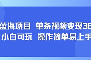 8月AI蓝海项目,单条视频变现1k+ 小白可玩 操作简单易上手
