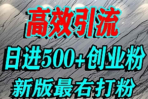 最右打创业粉,百分之九十九同行都不知道的空白蓝海,单人日引500+精准流量