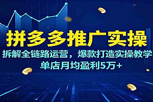 拼多多推广实操,拆解全链路运营,爆款打造实操教学,单店月均盈利5万+
