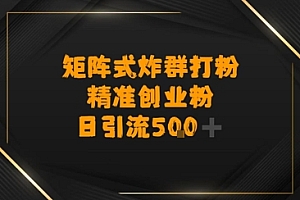矩阵炸群打粉,日引流500+精准创业粉