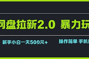 网盘拉新2.0暴力玩法,新手小白一天轻松5张,操作简单