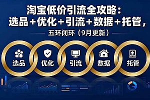 (16009期)淘宝低价引流全攻略:选品+优化+引流+数据+托管,五环闭环(9月更新)