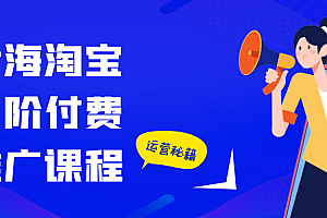 大海淘宝高阶付费推广课程