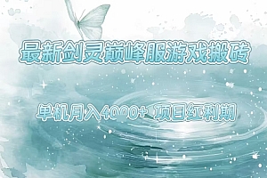 最新剑灵巅峰服游戏搬砖,项目红利期,单机稳定月入4k+操作简单好上手【揭秘】