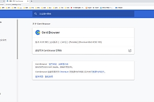百分浏览器v5.2.1168.57便携版
