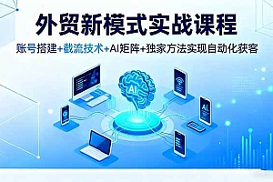 (16363期)外贸新模式实战课程,账号搭建+截流技术+AI矩阵+独家方法实现自动化获客